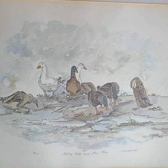 Duck and goose print. 73/215. Original with double mat. Lovely watercolour copy - Picture 1 of 5
